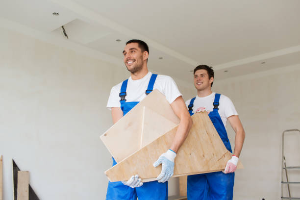 Best Furniture Removal  in Burnham, PA